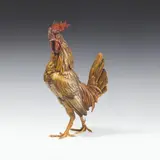 Franz Xaver Bergmann, Cock, bronze, cold painted, 2 glass eyes; marked on the underside with jug mark "B", "GESCHÜTZT" and "7118"