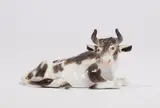 Meissen Royal Porcelain Manufactory, A Meissen porcelain ox lying down
