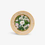 Königliche Porzellanmanufaktur Berlin Kpm, A KPM Berlin botanical porcelain plate with dog roses
