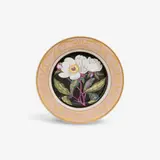 Königliche Porzellanmanufaktur Berlin Kpm, A KPM Berlin porcelain soup dish from a service with botanical decor