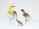 Three Meissen porcelain birds: Thrush, tit and oriole by Meissen Royal Porcelain Manufactory, sold Nov 2025