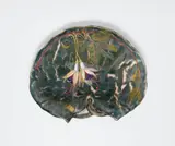 A Berlin KPM porcelain dish with fuchsia motifs by Königliche Porzellanmanufaktur Berlin Kpm, sold Apr 2023