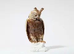 Nymphenburg, A large Nymphenburg porcelain model of an owl