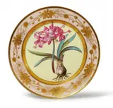 Pierre-Joseph Redouté, A Berlin KPM botanical porcelain plate "amaryllis farniensis"