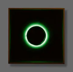 Felix Kultau, The Mystery of the Leaping Fish, 2013, Lightbox: glass, wood, neon and aludibond