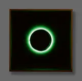 Felix Kultau, The Mystery of the Leaping Fish, 2013, Lightbox: glass, wood, neon and aludibond
