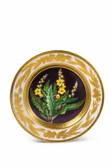 Gottfried Wilhelm Voelcker, A Berlin KPM porcelain plate with botanical decor