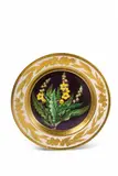 Gottfried Wilhelm Voelcker, A Berlin KPM porcelain plate with botanical decor