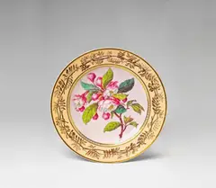 Königliche Porzellanmanufaktur Berlin Kpm, A Berlin KPM botanical porcelain plate with pyrus spectabilis chine
