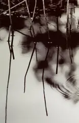 Ray Charles White, Glass Disturtant, Serigraphie auf Aluminium