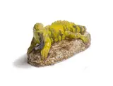 Chris Mason, Basilisk Lizard on a rock 2019 glazed earthenware, 2019, glazed earthenware