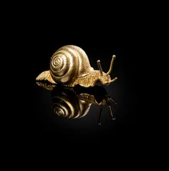 Jocelyn Burton, SNAIL