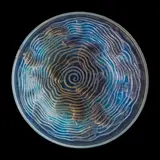 DAUPHINS BOWL, NO. 10-348 by René Lalique, offered Apr 2026