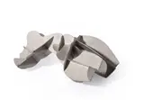 Dhruva Mistry, TORSO - 1, STUDY, SMALL 2007, 2007, welded aluminium