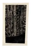 Sam Szafran, PAYSAGE 3