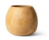 Ernst Gamperl, VESSEL NO. 157, 2000, 2000, maple