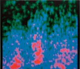 Jack Goldstein, Untitled, 1986-1988, acrylic on canvas