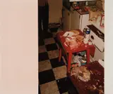 Wolfgang Tillmans, Kitchen after party
