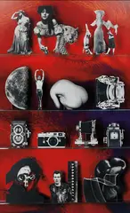 Matt Lipps, Camera, 2013, chromogenic print