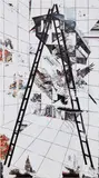 Francesca DiMattio, Black Ladder, 2008, oil on canvas