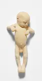 Ron Mueck, Untitled (Baby), 2001, cast dental plaster
