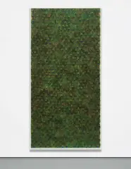 Carol Bove, Untitled, 2008, peacock feathers on linen in Plexiglas frame