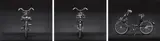 Christopher Williams, Velosolex 2200 Nr. 2 (Front, Side, and Back), Serial Number 3128819, Moteur antiparasité, Date of Production 1964, (From the collection of Hanh Dam), Photography by the Douglas M. Parker Studio, Los Angeles, California. August 15