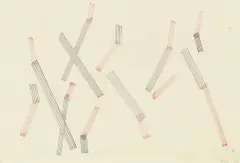 Lygia Pape, Untitled, 1964, ink on paper