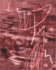 Kon Trubkovich, Wall Fragment 7, 2013, acrylic on canvas