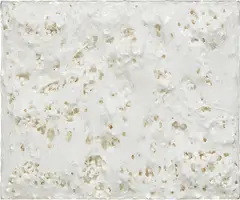 Francesca Pasquali, PLASTIFICAZIONE, 2012, Styrofoam and plastic on wood panel, in artist's frame
