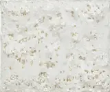 Francesca Pasquali, PLASTIFICAZIONE, 2012, Styrofoam and plastic on wood panel, in artist's frame