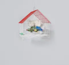 Jaula by León Ferrari, 2004, cage with plastic helicopter and feathers, offered Sep 2018