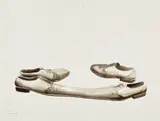 Yoan Capote, In love II, 2003, watercolor on paper