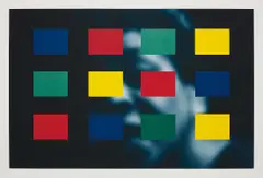 Carrie Mae Weems, Color Real and Imagined, 2014, archival inkjet print with screenprinted color blocks
