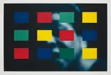 Carrie Mae Weems, Color Real and Imagined, 2014, archival inkjet print with screenprinted color blocks