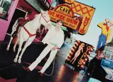 David LaChapelle, Leonardo DiCaprio: Coming Of Age