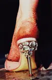 Marilyn Minter, Swarv