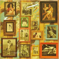 Robert Melee, I'm Stuck from the series Photo Composition, 2003, plastic slip cover, framed photographs and enamel paint on wood