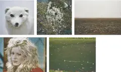 Piece (4) by Roni Horn, 1998, iris print, in 5 parts, sold Sep 2018
