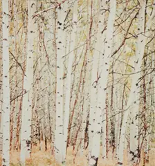 Uta Barth, Ground #12, 1992-1993, chromogenic print, mounted on panel