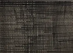 Sam Moyer, Close Screen, 2011, India ink on paper