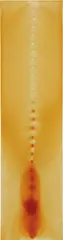 Vertabrae by Tim Hawkinson, 1989, varnish, household gloss paint and nails on canvas, offered Sep 2018