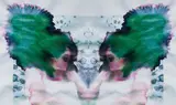Sara Greenberger Rafferty, Candy, 2010, chromogenic print, mounted on Plexiglas