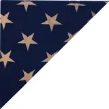 Aaron Young, The New Look of Leadership, 2011, silkscreen on linen