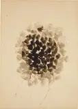 Sam Francis, Hydra
