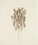 Sam Francis, Untitled