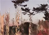 Ohne Titel (2.1.89) by Gerhard Richter, 1989, oil on photograph, sold Nov 2018
