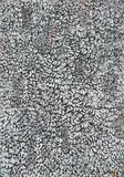 Mark Tobey, Between Black and White, 1970, tempera and oil on paper mounted to cardboard