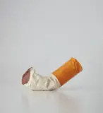 Claes Oldenburg, Fagend Study, 1968, cast aluminum hand painted with enamel