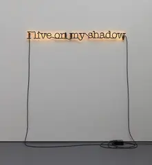 Glenn Ligon, Untitled (I Live on My Shadow), 2009, neon and paint